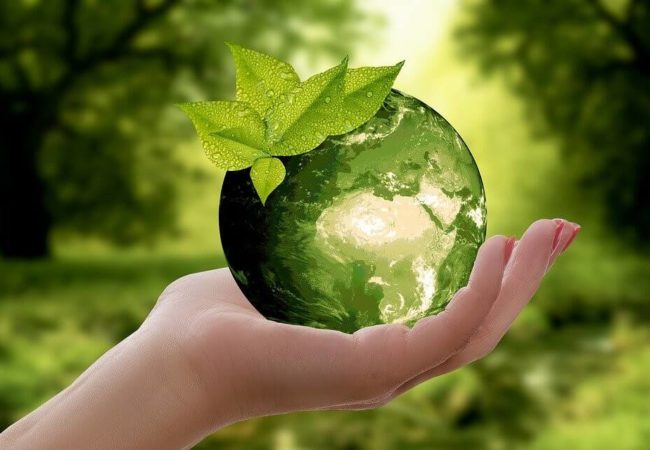 What is sustainable marketing, and how can you use it?