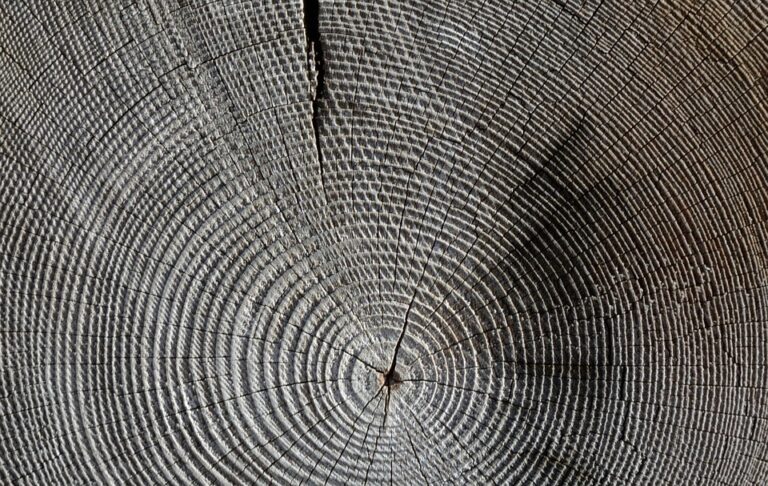 Buck the Trend with Wood Printing